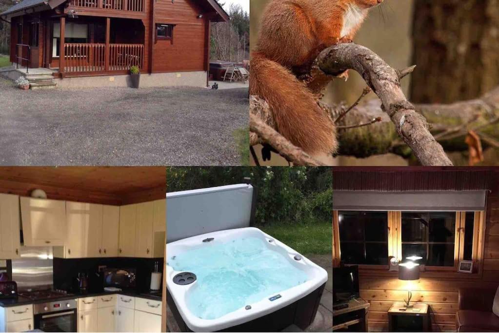 Red Squirrel Log Cabin With Hot Tub Keith Extérieur photo